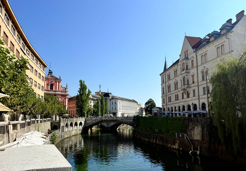 Bridge and buildings in the city of Ljubljana