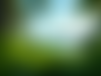 Ocean view Seychelles