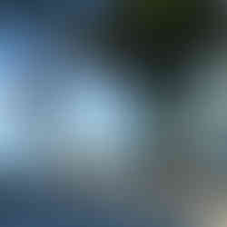 Hammock by the bay between palm trees