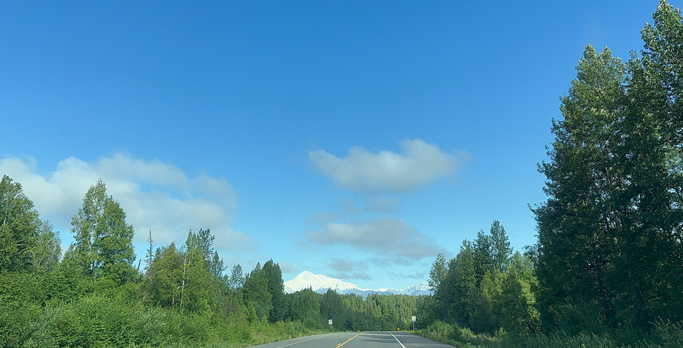 George Parks Highway