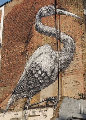 b&w crane.jpg