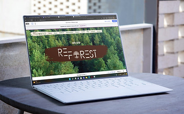 WebsiteMockup.jpg