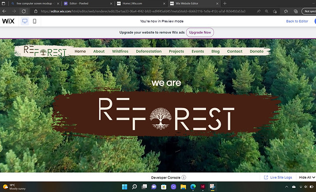 website screenshot.jpg