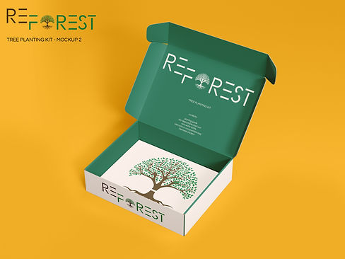 Empty Box - 2.jpg