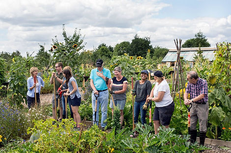 wisley-allotment-students-rhs.jpg