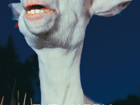 The Happy Goat: Freedom follows when you stop fighting a system designed to exclude you