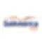 4f0924_3f7eafa58fed4aefa12096dbb095aaff~mv2.png.webp