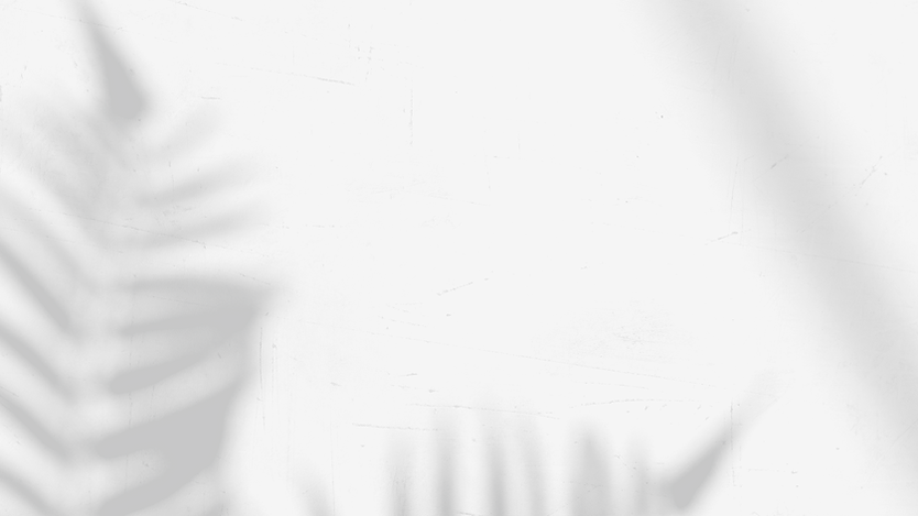 Shadow.png