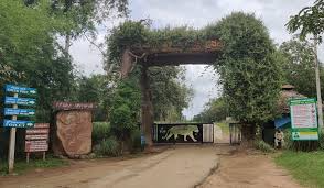 Unique Local Experiences in India