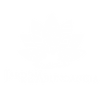 NUEVO LOGO-05.png