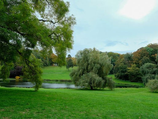 Eindelijk permanente sorteereilanden op komst in parken en bossen van het Brussels Gewest