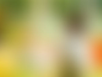 Vernieuwde crèche Robbedoes biedt plaats aan 63 kindjes (Het Laatste Nieuws)