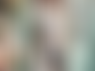 Achetez votre nouveau cheval chez Ecurie Heole