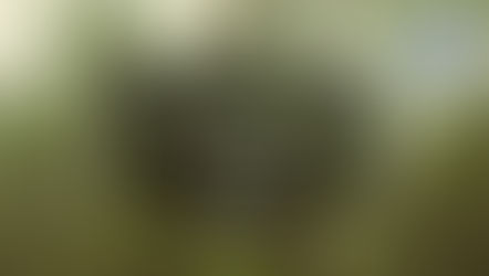 Jornadas de Convivencia