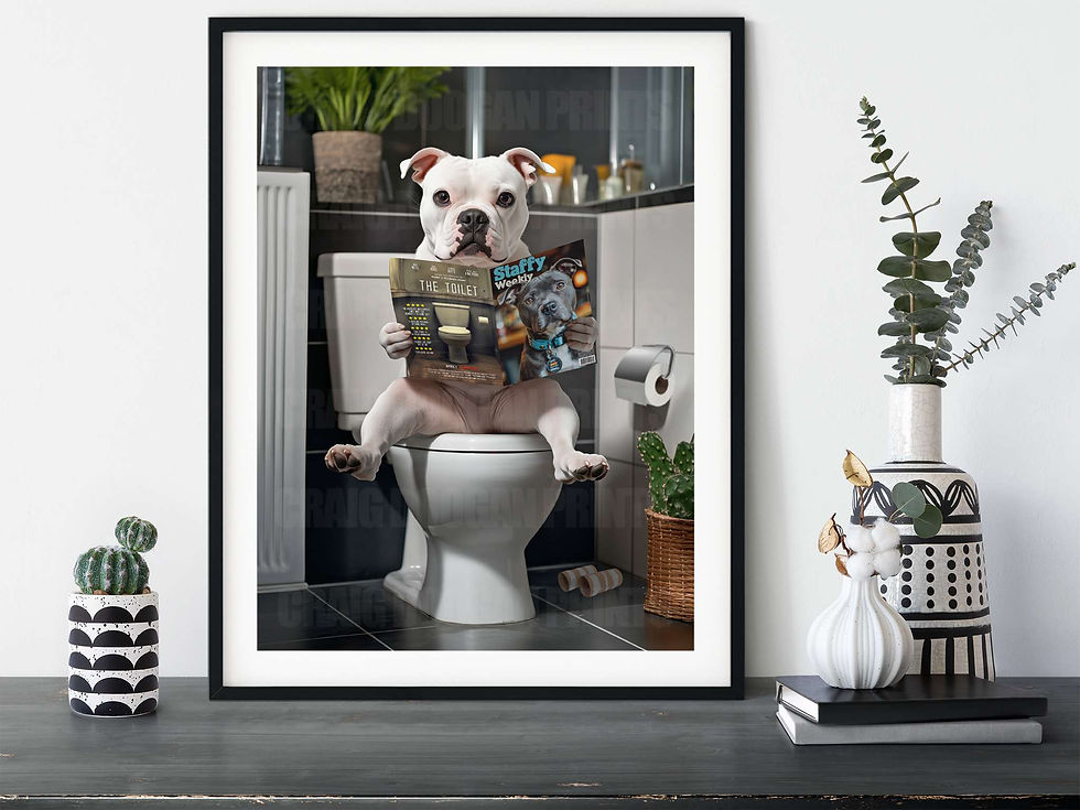 White Staffy dog sitting on the toilet reading the Staffy Weekly magazine. Funny bathroom wall art