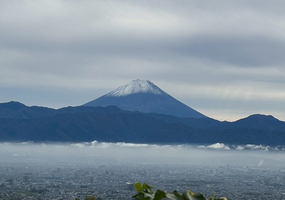 Suntory and Family Business