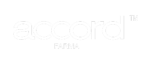 accord