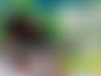 Frédéric Camelot en descente dans un col du tour de france