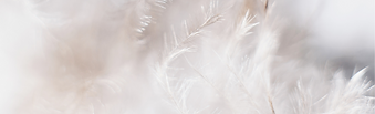 Design ohne Titel (1).png