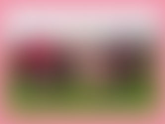 Besoin d'une reportrice pour votre événement ?