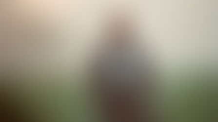 💜 El señor Darcy