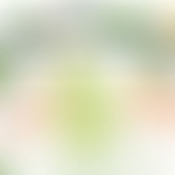 La crisálida… Un tiempo de espera