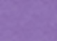 banner web.jpg