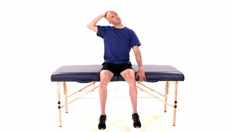 A simple stretching & exercise routine that you can do right from your desk