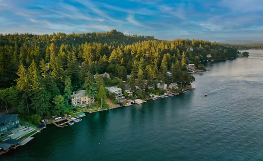 Aerial view of Lake Oswego waterfront homes surrounded by trees, Oregon