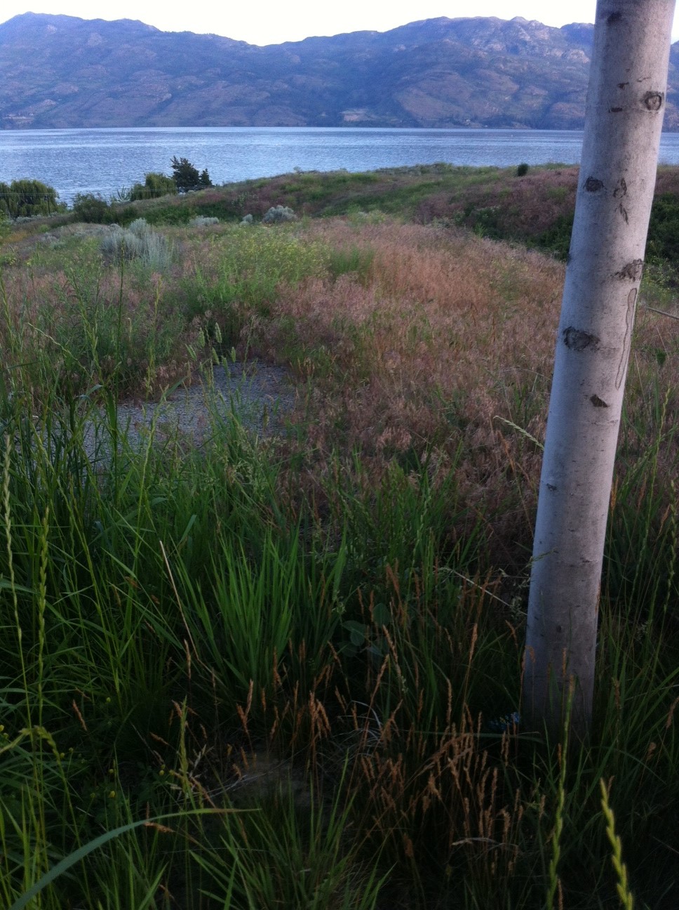 Sanctuary Gardens, West Kelowna