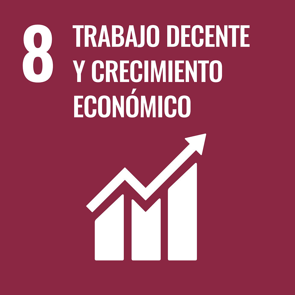 DECENT WORK AND ECONOMIC GROWTH