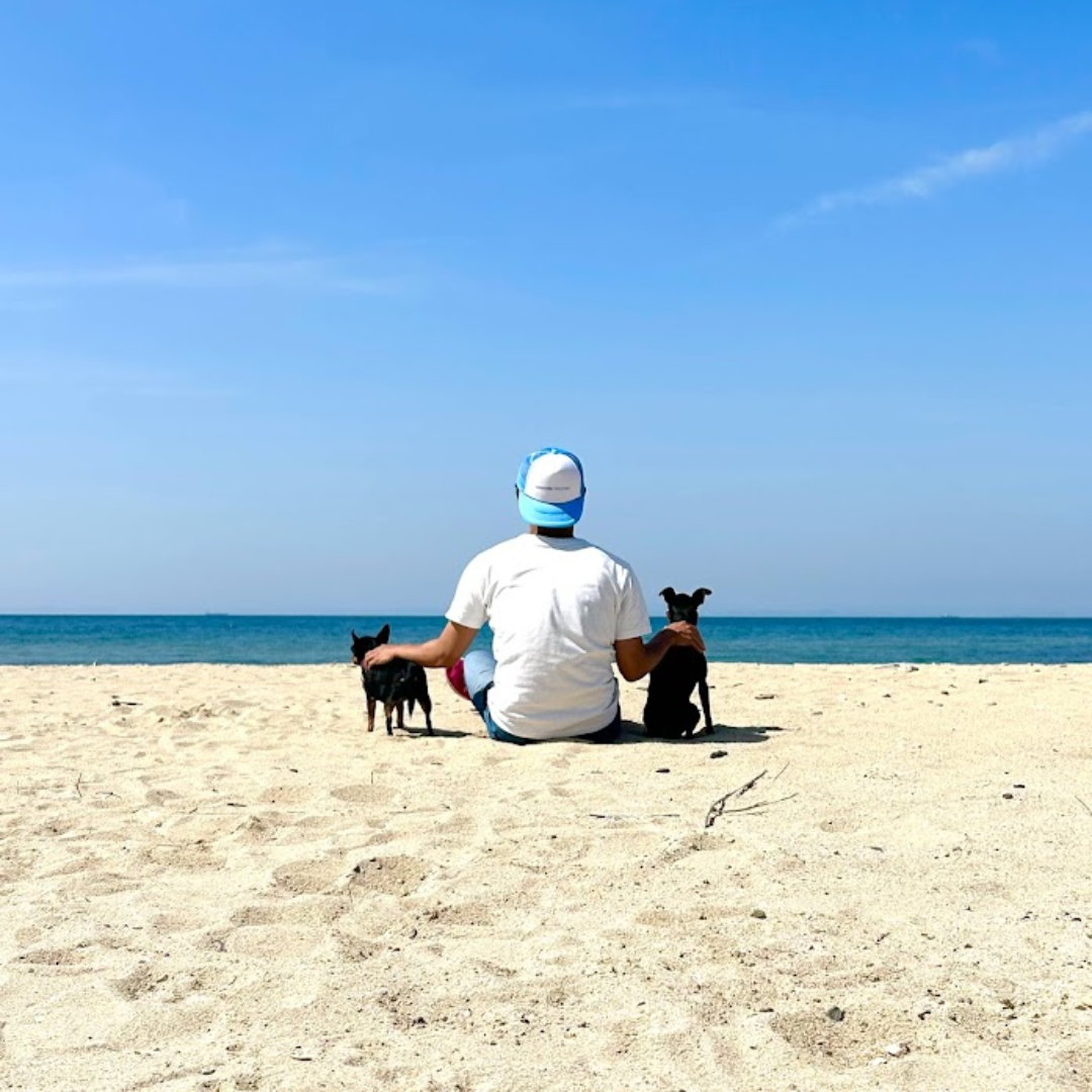 淡路島の海辺で犬たちと過ごす様子