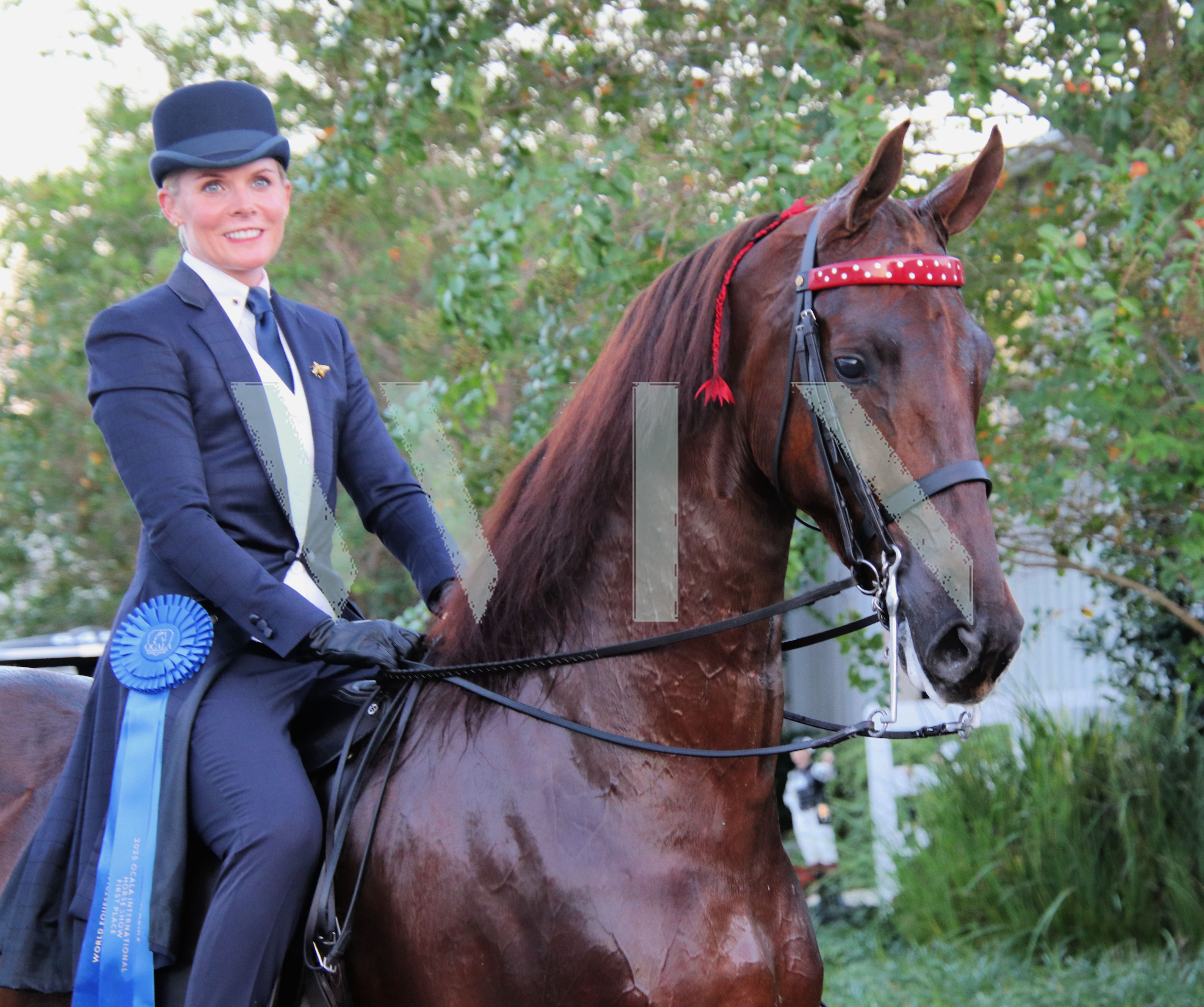 OCALA International Horse Show