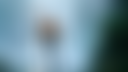 AQUAMAN | Rei Momoa das águas