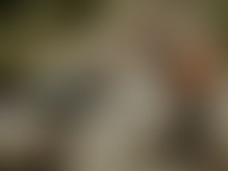 GLORY | O humano por trás do nome e do rosto das manchetes