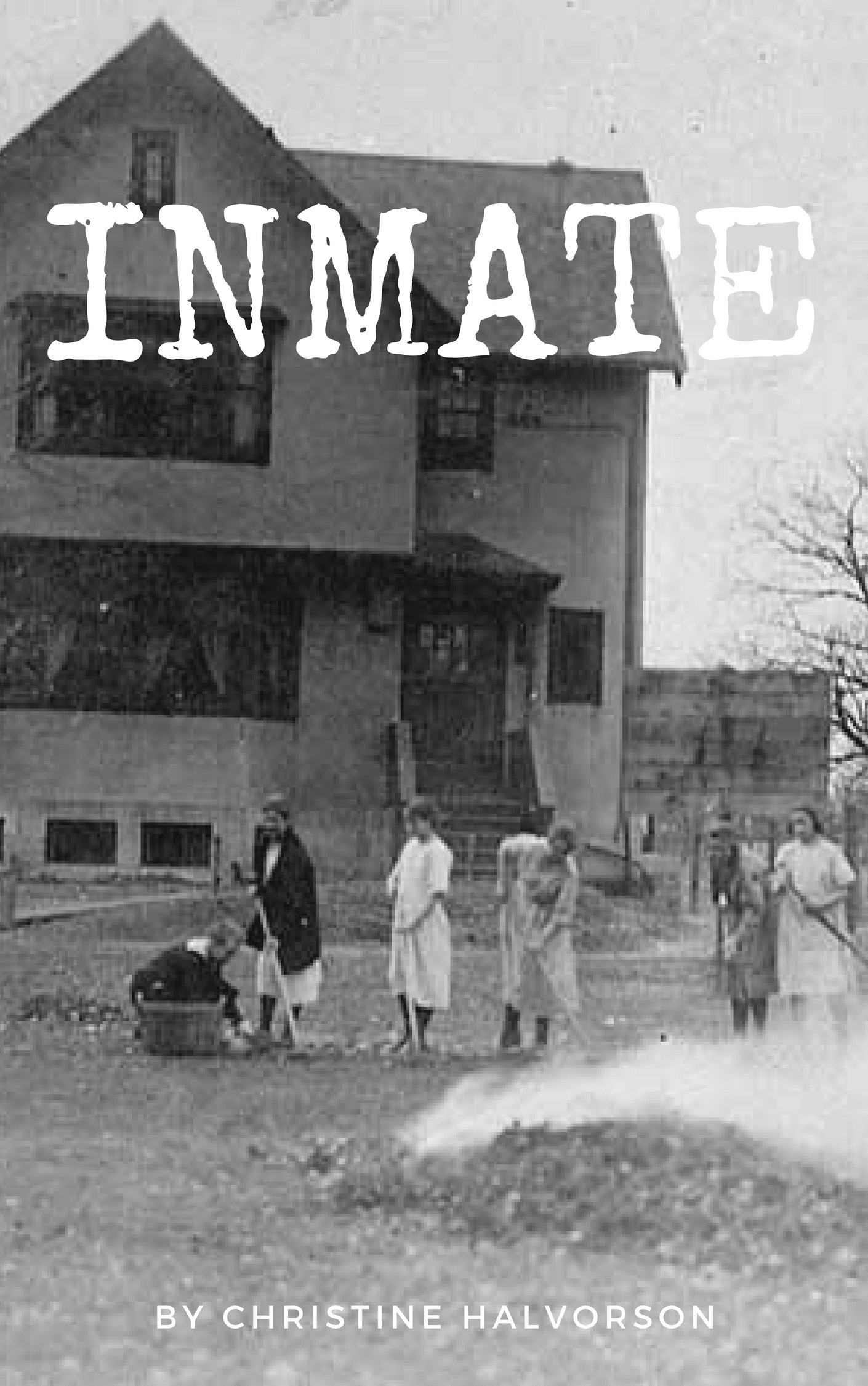 Inmate, a novel