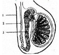 image_2021-06-08_185908.png