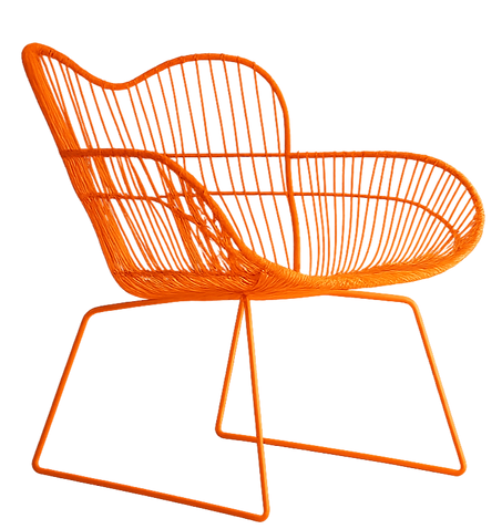 ChatGPT Image Sep 23, 2025, 01_53_35 PM (1)_edited.png