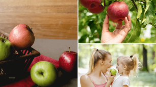 FIT TEST การตรวจภูมิแพ้อาหารแฝงแบบAdvanced ด้วยเทคโนโลยีใหม่