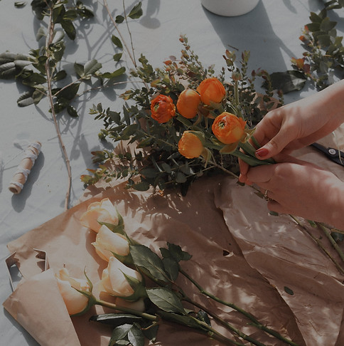 s-o-c-i-a-l-c-u-t-sBqiND8rQ8s-unsplash_e