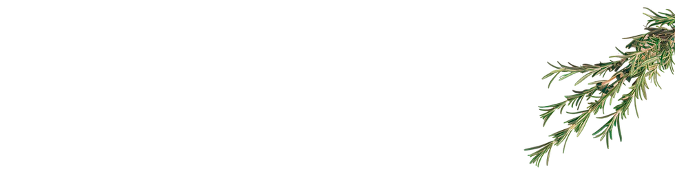 1Capa-1.png