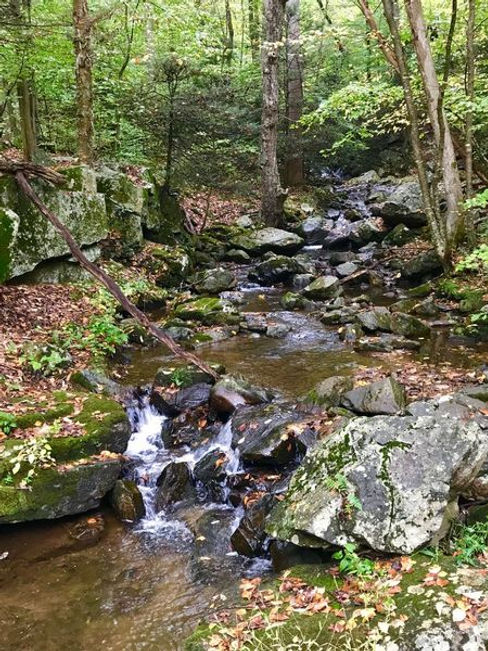 Hacklebarney State Park.jpeg
