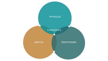 schema-site-paysage.png