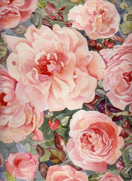 Roses
