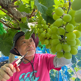 Small Agri Yamada Farm - Michihiko Yamada.JPG