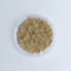 Thumbnail: Barley Koji