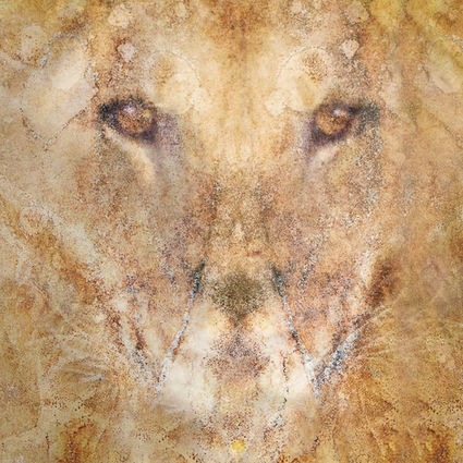 A creative portrait photograph of a male lion. Fine art photography by Päivi Maria Wells.