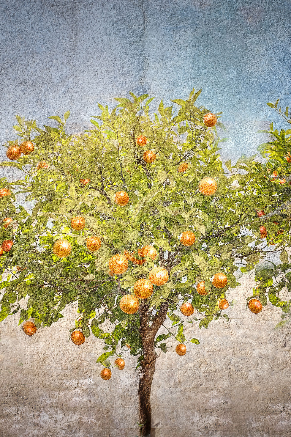Thumbnail: "Orange Tree"