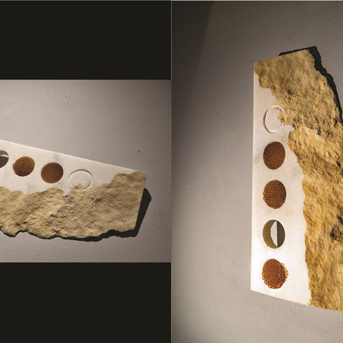 "Honeycomb, Nave aka Defence shields" - Ilie Duta