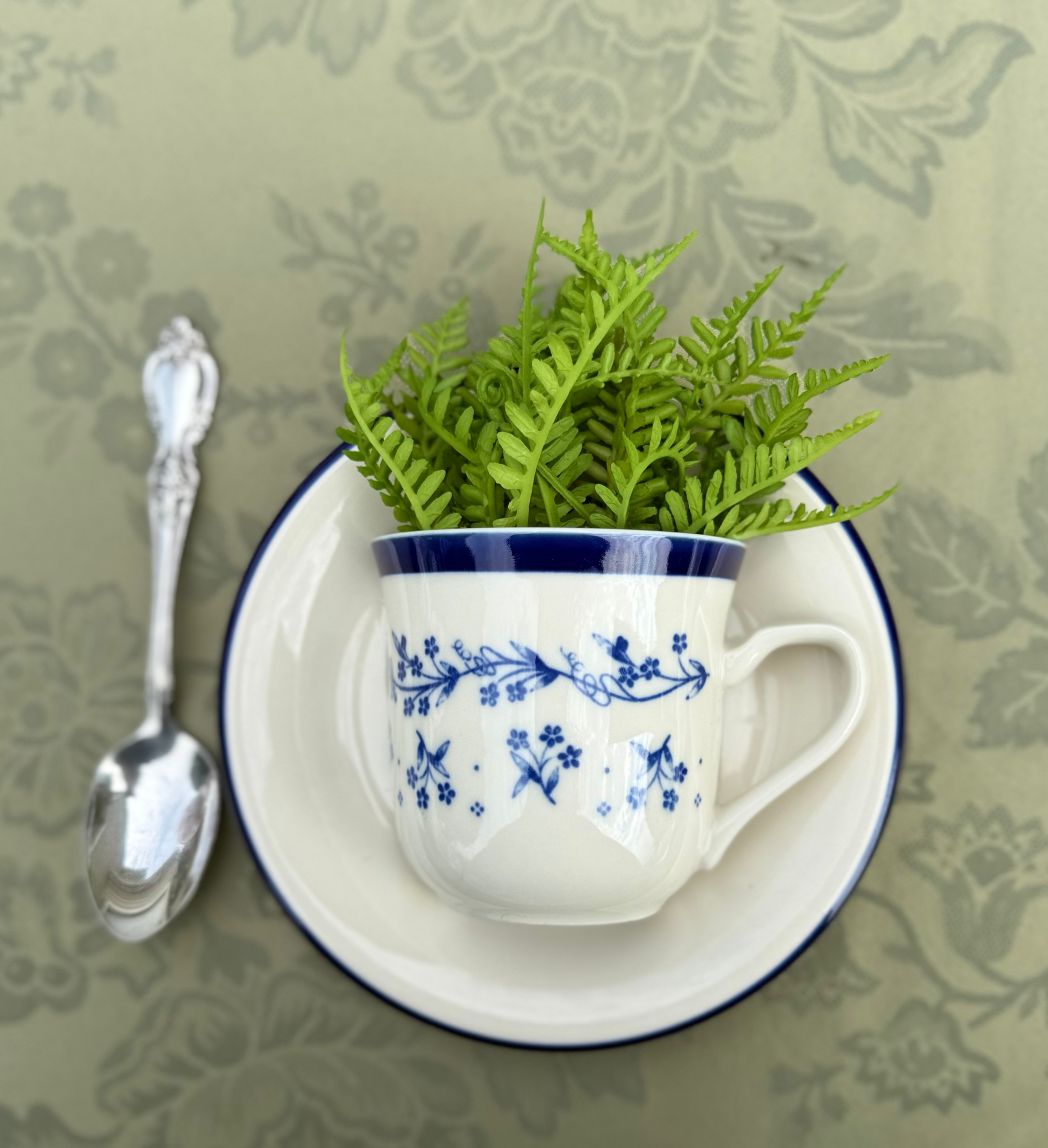 Teacup Wall Pocket